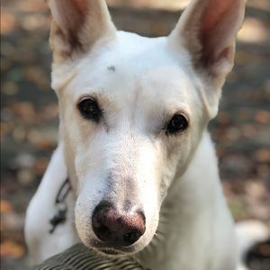 Meet your Posher, Melody